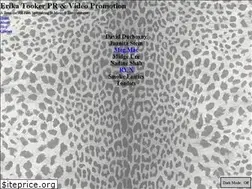 Sites similar to erikatooker.com