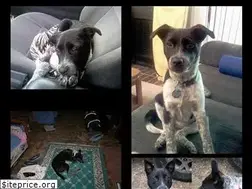 Sites similar to eringreen.com