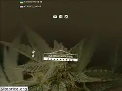 Sites similar to errors-seeds.info