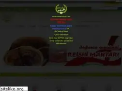 Sites similar to ersagevimde.com