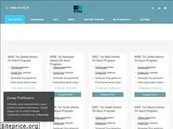 Sites similar to erseyturizm.com