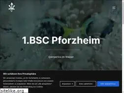 Sites similar to erster-bsc-pforzheim.de