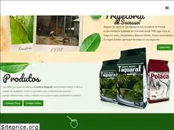 Sites similar to ervateirataquaral.com.br