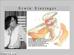 Sites similar to erwineinzinger.com