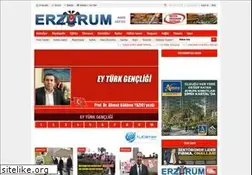 Sites similar to erzurumhabergazetesi.com