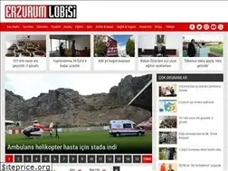 Sites similar to erzurumlobisi.com