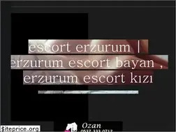 Sites similar to erzurumnet.com