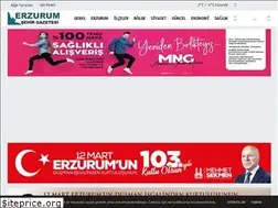 Sites similar to erzurumsehirgazetesi.com