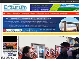 Sites similar to erzurumvitringazetesi.com