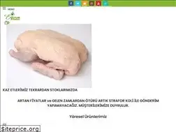 Sites similar to erzurumyoreselurunler.com