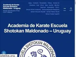 Sites similar to escuelashotokan.com
