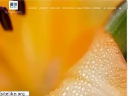 Sites similar to esencias.com