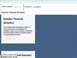 Sites similar to esgtemizlik.com