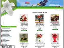 Sites similar to eskisehircicek.com