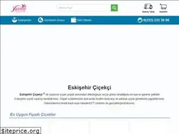 Sites similar to eskisehircicekci.com.tr