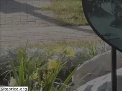Sites similar to espanola.ca