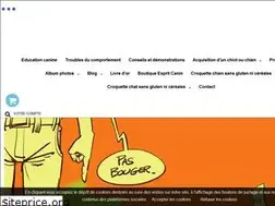 Sites similar to espritcanin.com