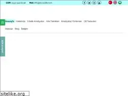 Sites similar to esracelik.com