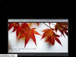 Sites similar to essentiallightphotography.com