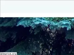 Sites similar to essvoen.ru