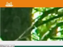 Sites similar to estanciachica.com