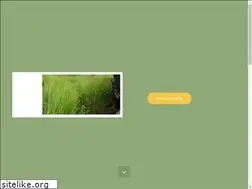 Sites similar to estatravesia.com