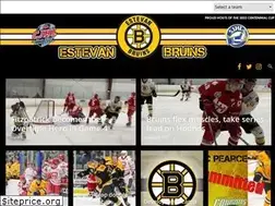Sites similar to estevanbruins.com
