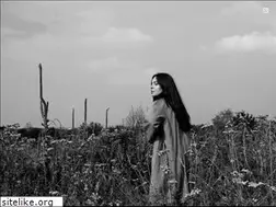 Sites similar to estherveenmusic.com