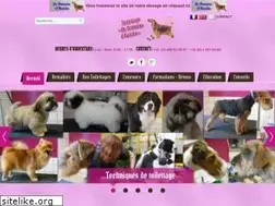 Sites similar to esthetiquecanine.com