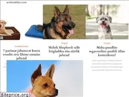 Sites similar to et.acelenakliye.com