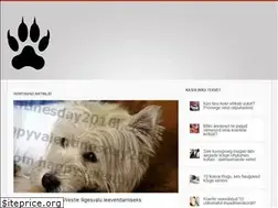Sites similar to et.happyvalentinesday2016i.com