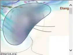Sites similar to etangdelamourblanc.fr