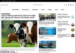 Sites similar to etarim.net