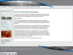 Sites similar to ethangordon.com