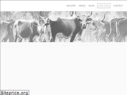 Sites similar to etienneoosthuizen.com