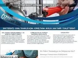 Sites similar to etimesguttatesisatci.com