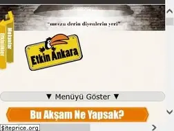 Sites similar to etkinankara.com