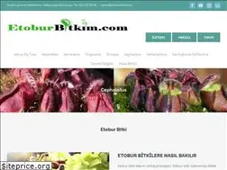 Sites similar to etoburbitkim.com