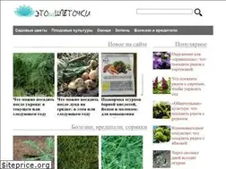 Sites similar to etocvetochki.com