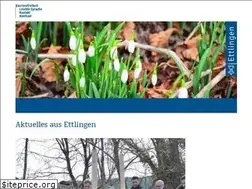 Sites similar to ettlingen.de