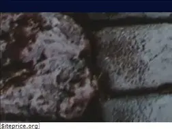 Sites similar to europave.com.au