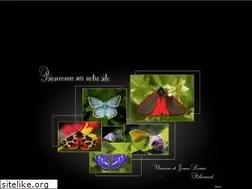 Sites similar to european-lepidopteres.fr