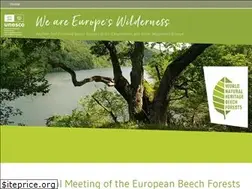 Sites similar to europeanbeechforests.org