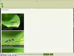 Sites similar to eusozial.de