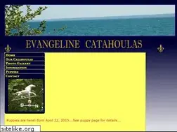 Sites similar to evangelinecatahoulas.com
