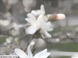 Sites similar to evanstonacupuncture.net
