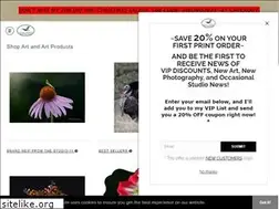 Sites similar to evastanleywildlifeartist.com