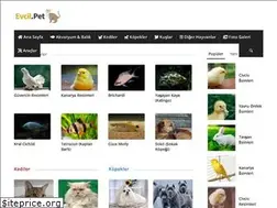 Sites similar to evcil.pet