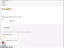 Sites similar to evcilgiller.com