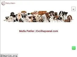 Sites similar to evcilhayvanal.com